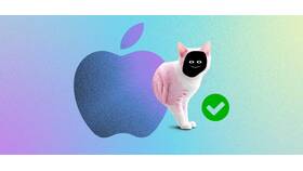 Чем оплатить Apple: доступные способы в MEXX