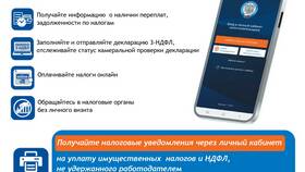 Что означает налоги ФЛ в MEXX