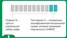Что проверяют по СНИЛС в MEXX