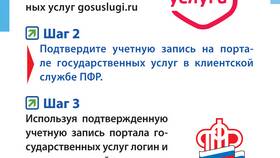 Что такое сведения ПФР в MEXX