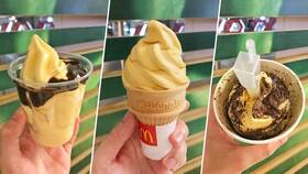 Из чего сделано мороженое в McDonald's