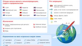 Как активировать запрет: правовые механизмы и процедуры в MEXX