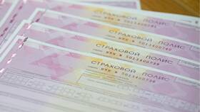 Как называется страховой полис на автомобиль в MEXX