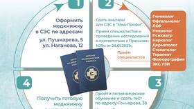 Как оформить медицинскую книжку студенту в MEXX