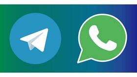 Как перенести анимированные стикеры в WhatsApp в MEXX