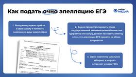 Как подать апелляцию: пошаговая инструкция в MEXX