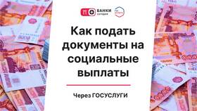 Как подать заявление на региональные государственные услуги в MEXX