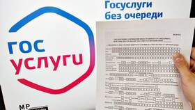 Как подать заявление на РВП через Госуслуги иностранному гражданину в MEXX