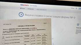 Как получить форму 3 через Госуслуги в MEXX