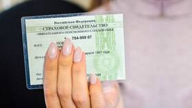 Как получить СНИЛС ребенка в электронном виде в MEXX