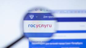Как получить справку о кредитной истории через Госуслуги в MEXX