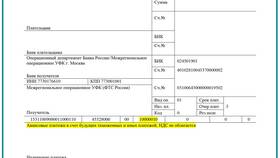 Как правильно указывать назначение платежа в платежном поручении в MEXX