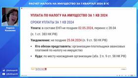 Как рассчитать налог за квартал: подробное руководство в MEXX
