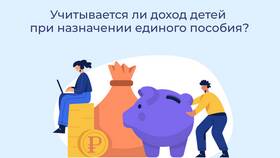 Как рассчитываются детские доходы в MEXX