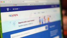 Как заказать услуги через портал Госуслуг в MEXX