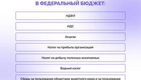 Почему нужны налоги в MEXX