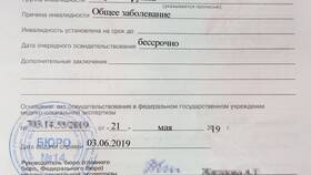 Пошаговая инструкция по оформлению инвалидности в MEXX