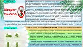 Применение анальных пробок в медицинских и специальных целях