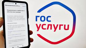 Стоимость услуг на Госуслугах для иностранных граждан в MEXX
