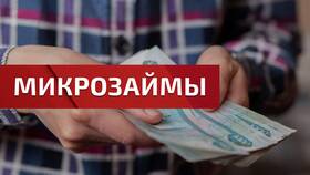 Страховка в микрозайме: назначение и особенности в MEXX