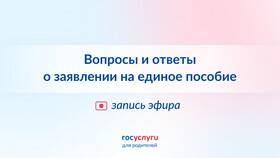 Заявление о согласии на опеку: содержание и порядок оформления в MEXX