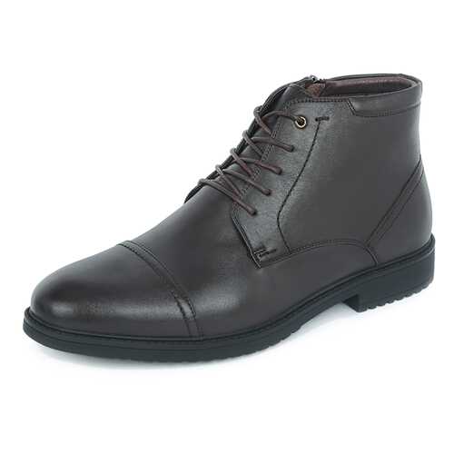 Ботинки мужские Pierre Cardin 710018537 коричневые 43 RU в MEXX