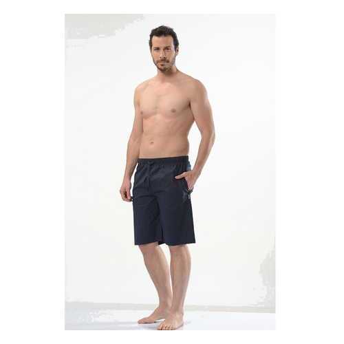 Шорты мужские Cacharel 2135 синие M в MEXX