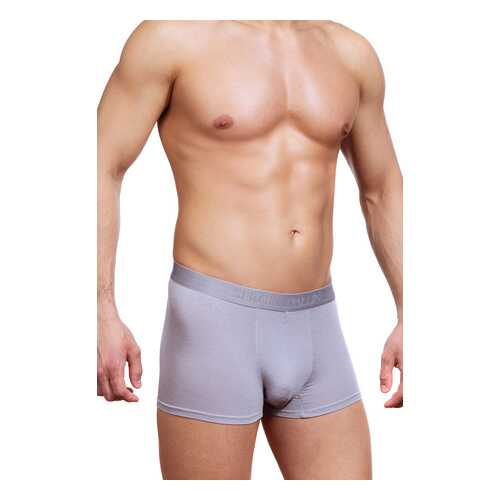 Трусы мужские SERGIO DALLINI SG2302 серые XL в MEXX